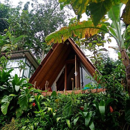 Eco Bedugul Adventurer Camp Bed & Breakfast Eksteriør bilde
