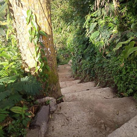Eco Bedugul Adventurer Camp Bed & Breakfast Eksteriør bilde