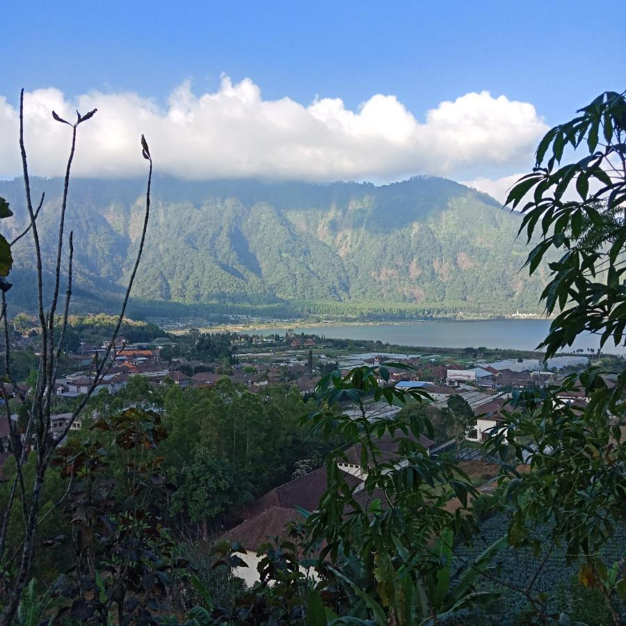 Eco Bedugul Adventurer Camp Bed & Breakfast Eksteriør bilde