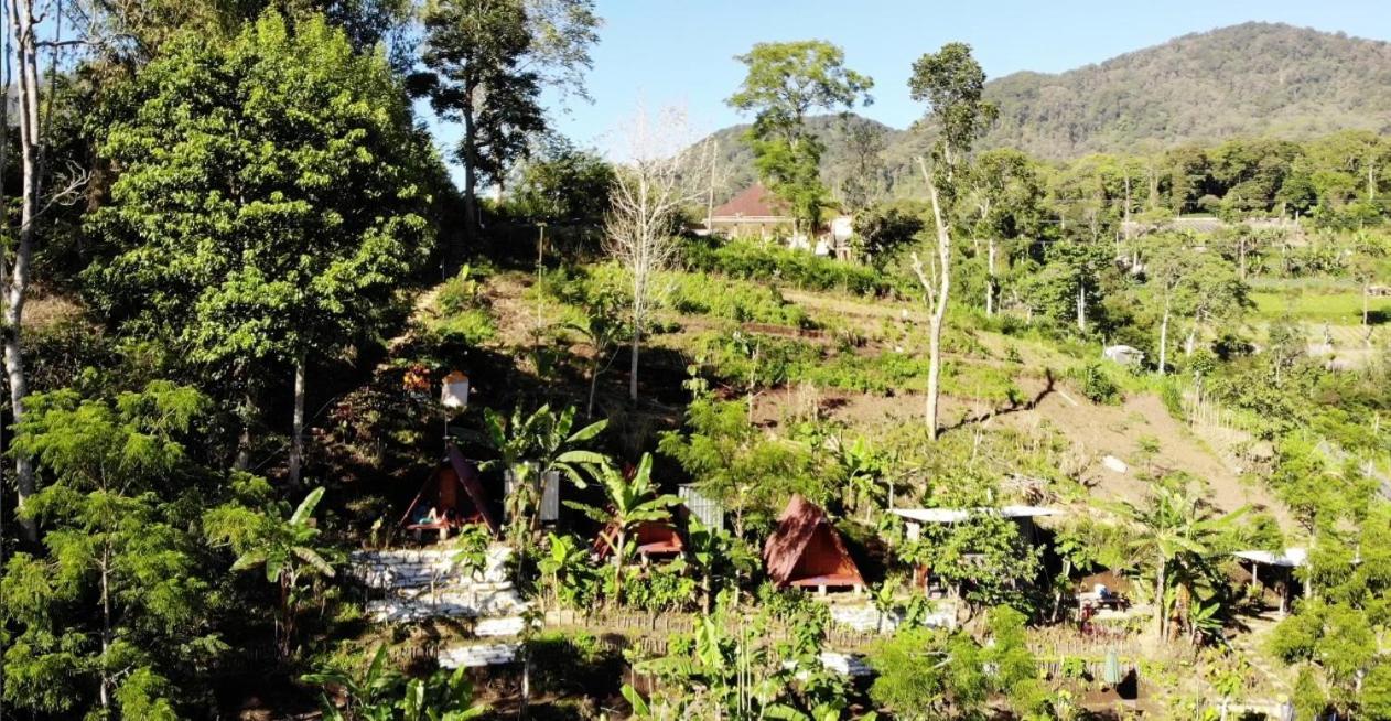 Eco Bedugul Adventurer Camp Bed & Breakfast Eksteriør bilde