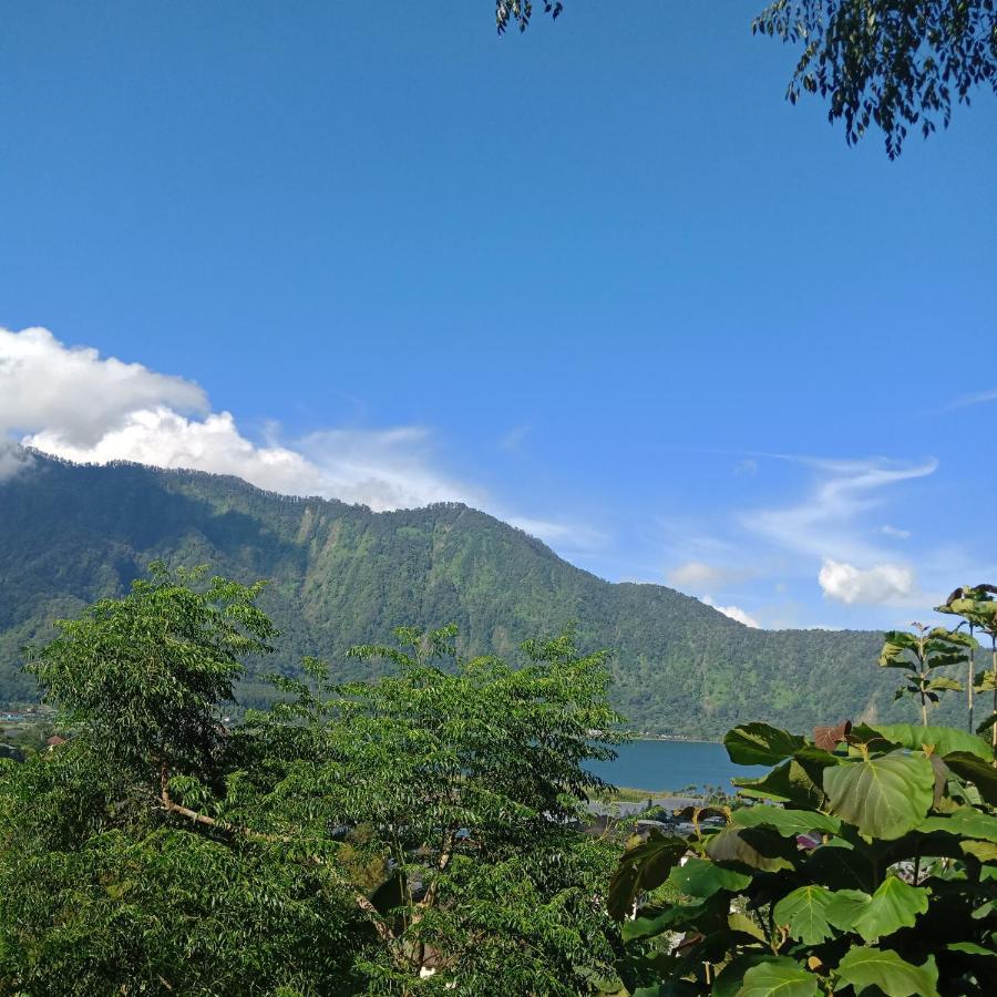 Eco Bedugul Adventurer Camp Bed & Breakfast Eksteriør bilde
