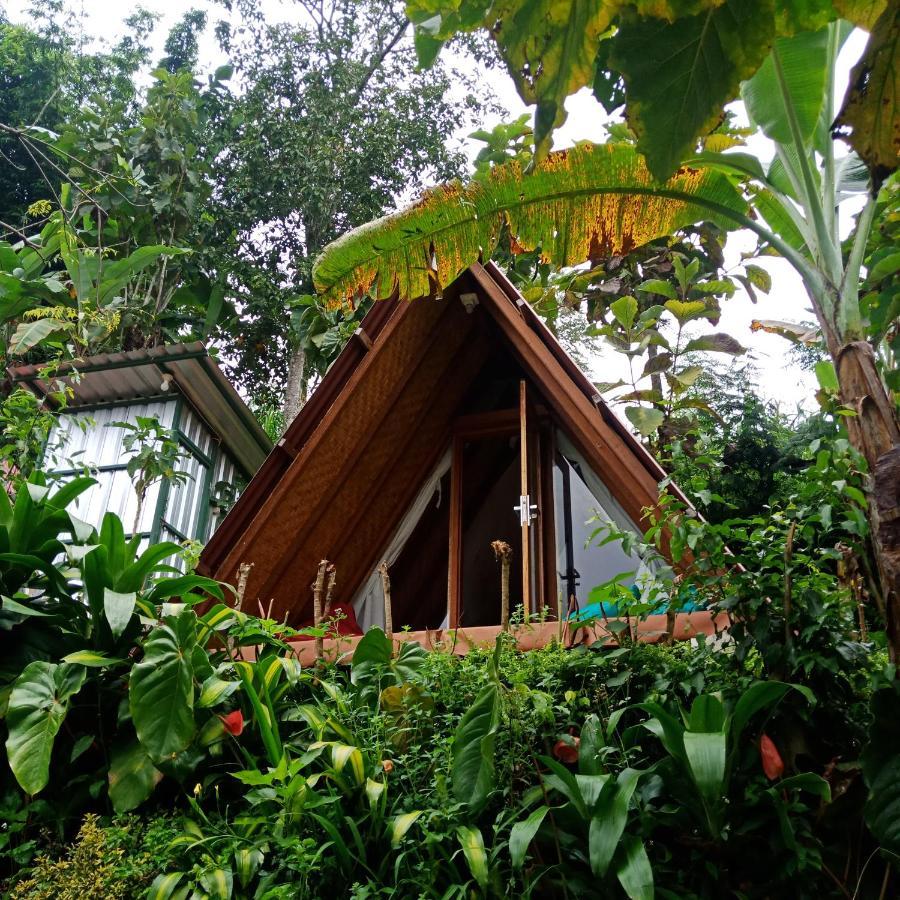 Eco Bedugul Adventurer Camp Bed & Breakfast Eksteriør bilde