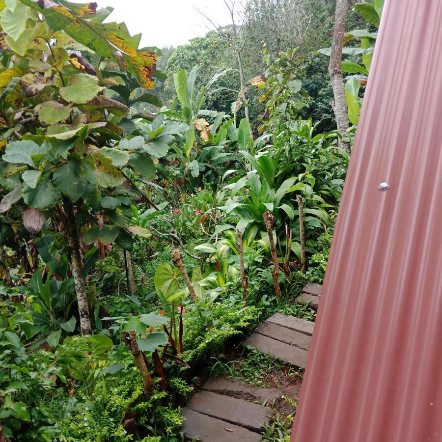 Eco Bedugul Adventurer Camp Bed & Breakfast Eksteriør bilde