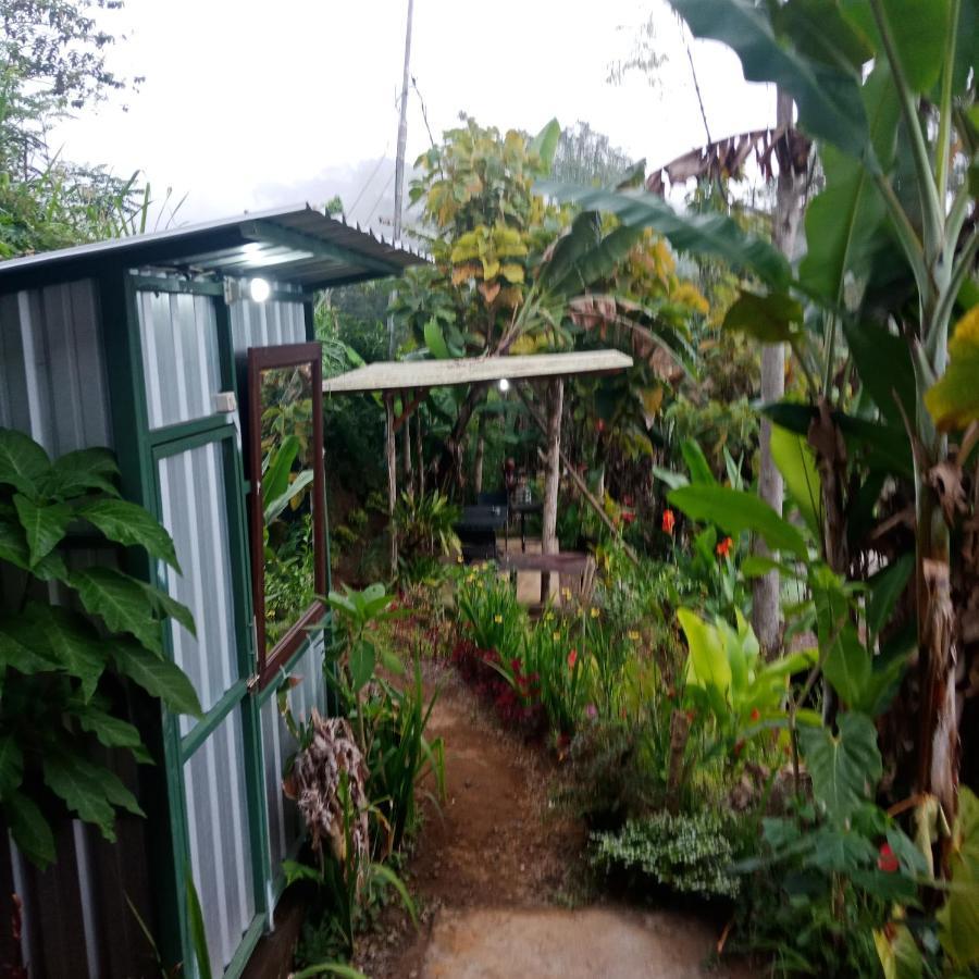 Eco Bedugul Adventurer Camp Bed & Breakfast Eksteriør bilde