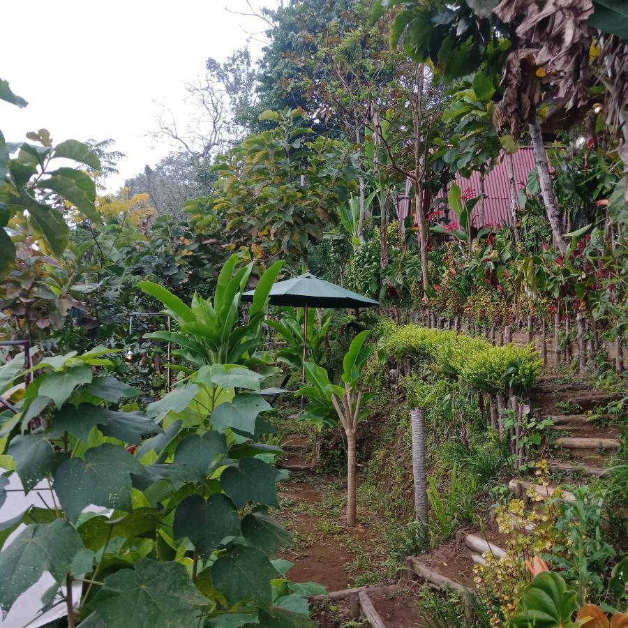 Eco Bedugul Adventurer Camp Bed & Breakfast Eksteriør bilde